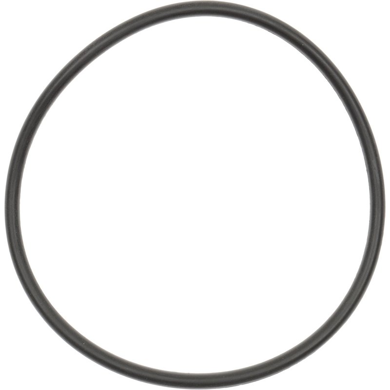 BGMG 47893 Wheel Hub O-Ring - Rear