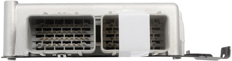 Dorman 318-100 Engine Control Module (ECM)