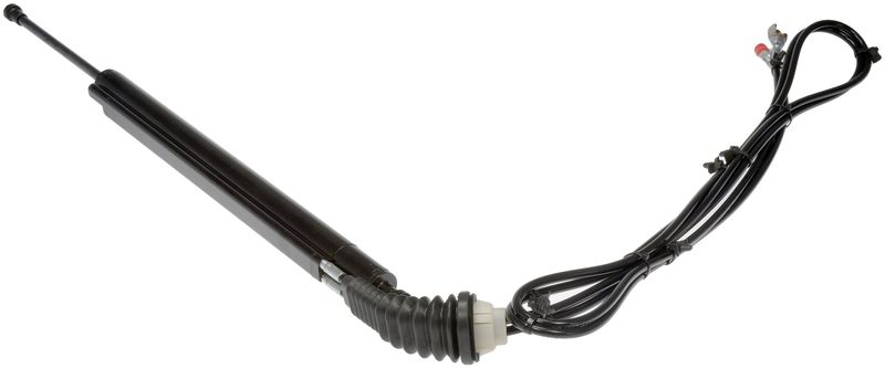 Dorman 747-416 Liftgate Cylinder - Left