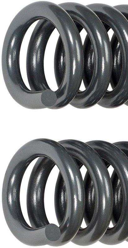 Dorman 929-916 Coil Spring - Front
