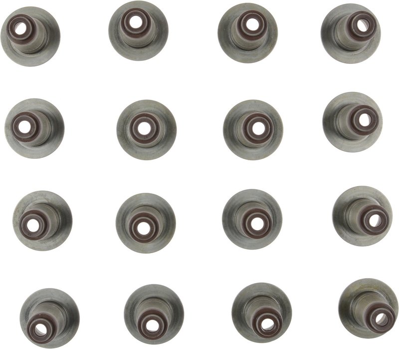 Victor Reinz 12-10030-01 Engine Valve Stem Oil Seal Set
