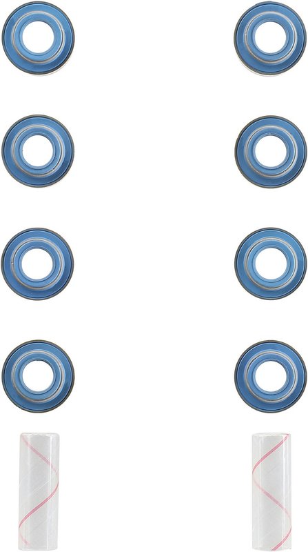 Victor Reinz 12-10096-01 Engine Valve Stem Oil Seal Set - Exhaust
