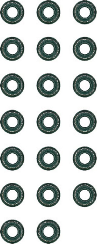 Victor Reinz 12-26058-04 Engine Valve Stem Oil Seal Set