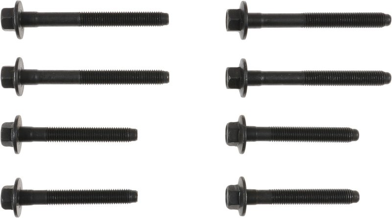 Victor Reinz 14-10040-01 Engine Cylinder Head Bolt Set
