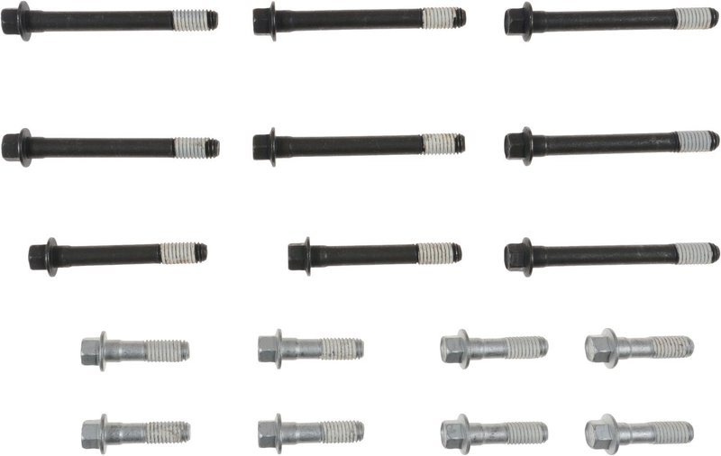 Victor Reinz 14-10048-01 Engine Cylinder Head Bolt Set