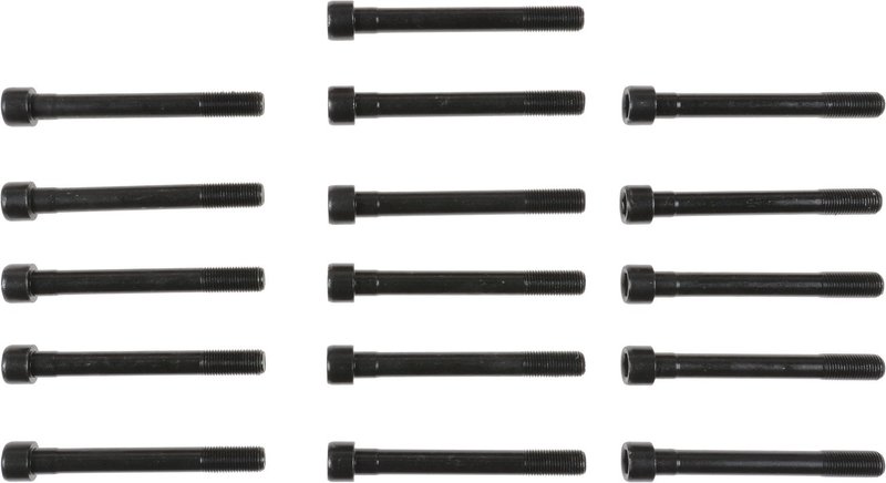 Victor Reinz 14-10056-01 Engine Cylinder Head Bolt Set
