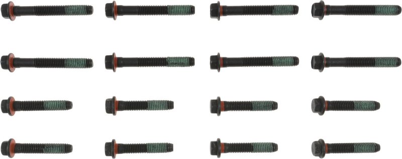 Victor Reinz 14-10064-01 Engine Cylinder Head Bolt Set