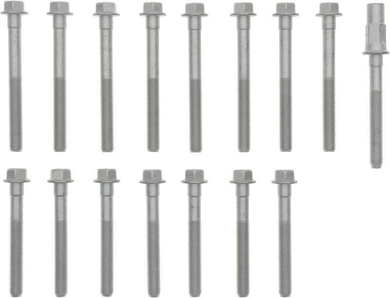 Victor Reinz 14-10069-01 Engine Cylinder Head Bolt Set