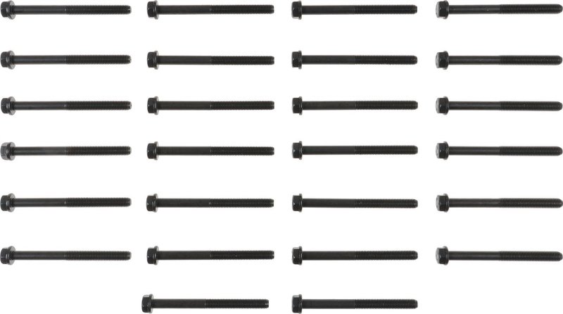 Victor Reinz 14-10092-01 Engine Cylinder Head Bolt Set