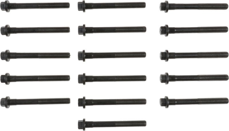 Victor Reinz 14-10102-01 Engine Cylinder Head Bolt Set