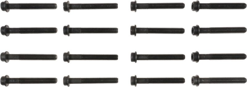 Victor Reinz 14-10103-01 Engine Cylinder Head Bolt Set