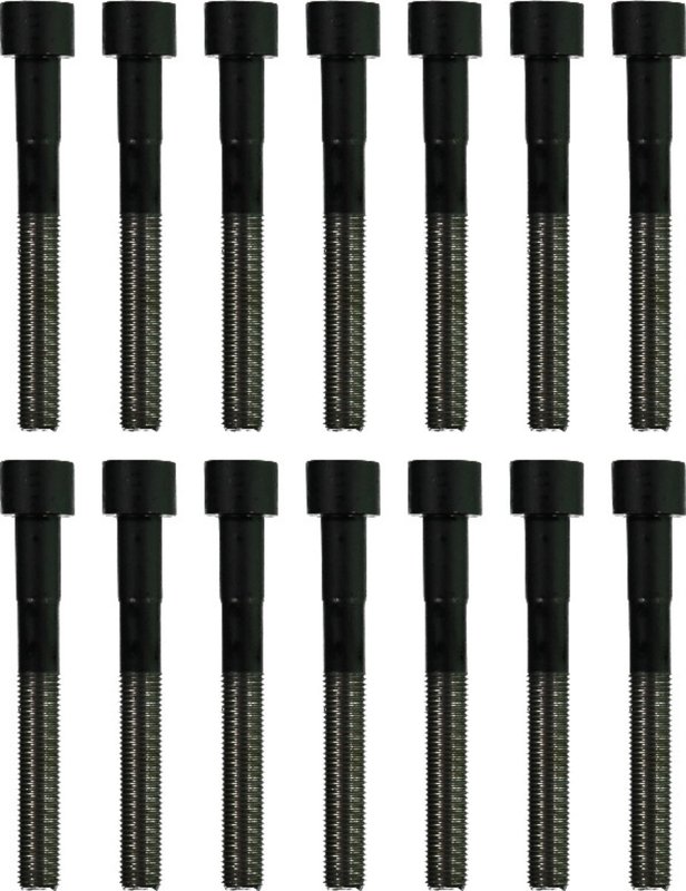 Victor Reinz 14-10112-01 Engine Cylinder Head Bolt Set