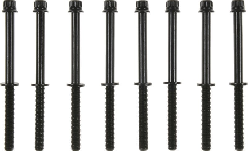 Victor Reinz 14-10143-01 Engine Cylinder Head Bolt Set