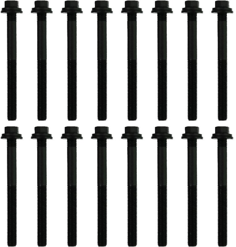 Victor Reinz 14-10415-01 Engine Cylinder Head Bolt Set