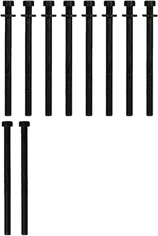Victor Reinz 14-12679-01 Engine Cylinder Head Bolt Set