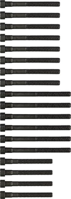 Victor Reinz 14-32032-01 Engine Cylinder Head Bolt Set