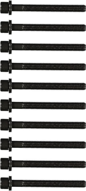 Victor Reinz 14-32047-01 Engine Cylinder Head Bolt Set