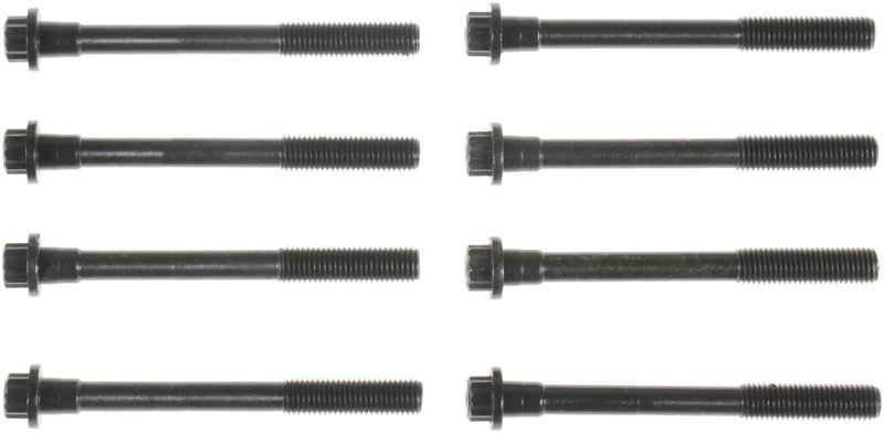 Victor Reinz 14-32392-01 Engine Cylinder Head Bolt Set