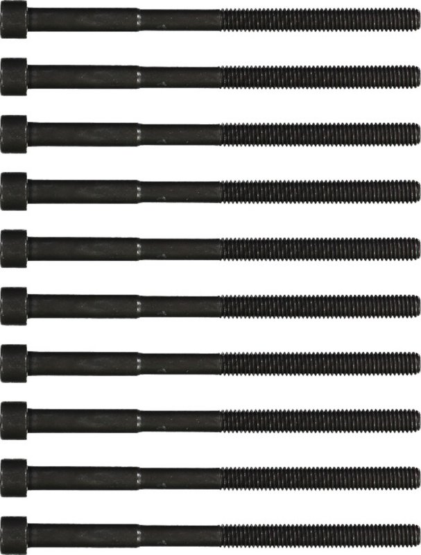 Victor Reinz 14-55033-01 Engine Cylinder Head Bolt Set