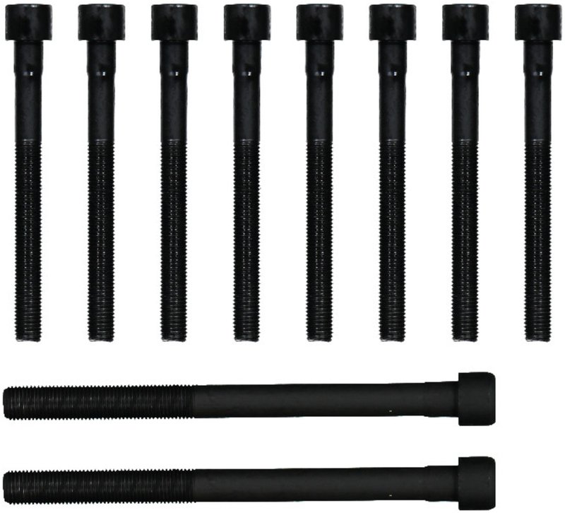 Victor Reinz 14-55097-01 Engine Cylinder Head Bolt Set