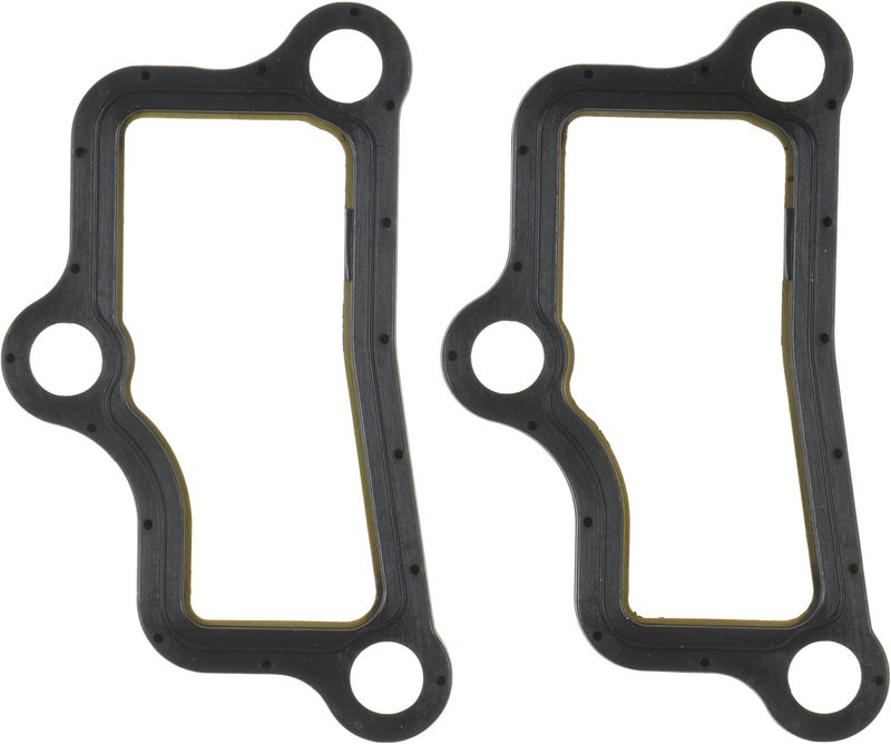 Victor Reinz 15-10312-01 Fuel Injection Plenum Gasket Set