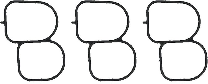 Victor Reinz 15-10791-01 Fuel Injection Plenum Gasket Set