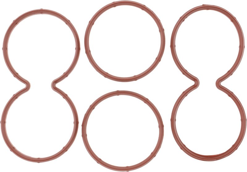 Victor Reinz 15-10799-01 Fuel Injection Plenum Gasket Set