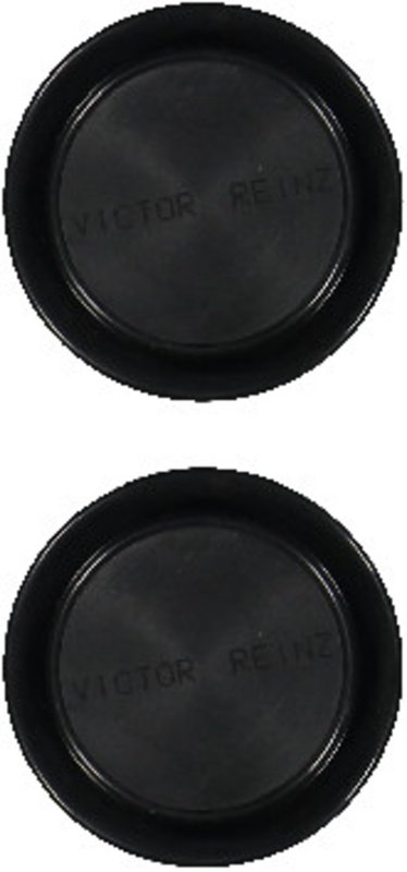 Victor Reinz 18-10187-01 Engine Circular Plug - Valve Cover