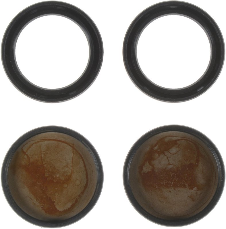 Victor Reinz 19-10231-01 Engine Camshaft Plug