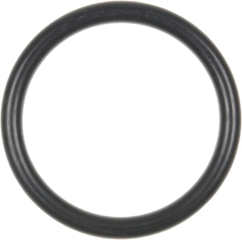 Victor Reinz 41-76538-00 Distributor Mounting Gasket