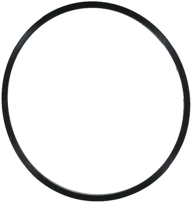 Victor Reinz 41-77548-00 Engine Coolant Thermostat Housing Gasket