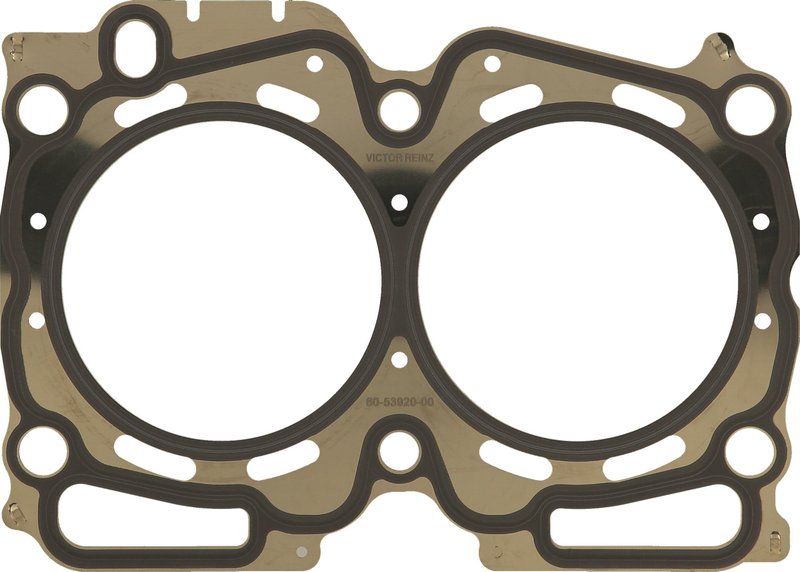 Victor Reinz 61-53920-00 Engine Cylinder Head Gasket