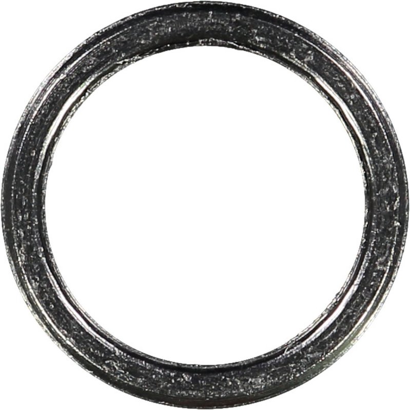 Victor Reinz 71-10306-00 Exhaust Manifold Gasket