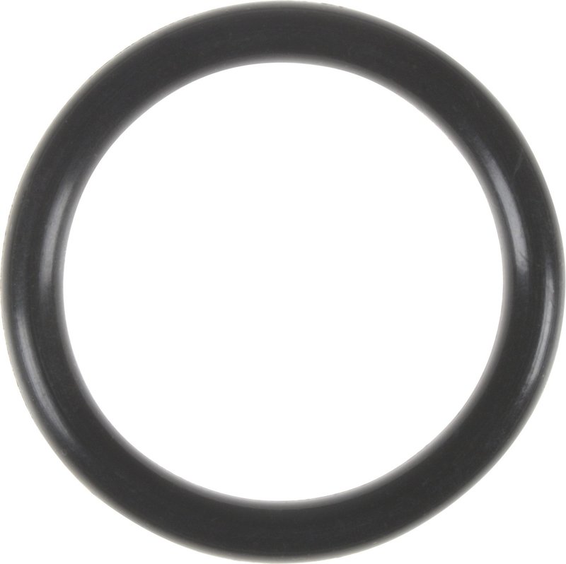 Victor Reinz 71-13574-00 Engine Coolant Outlet Gasket