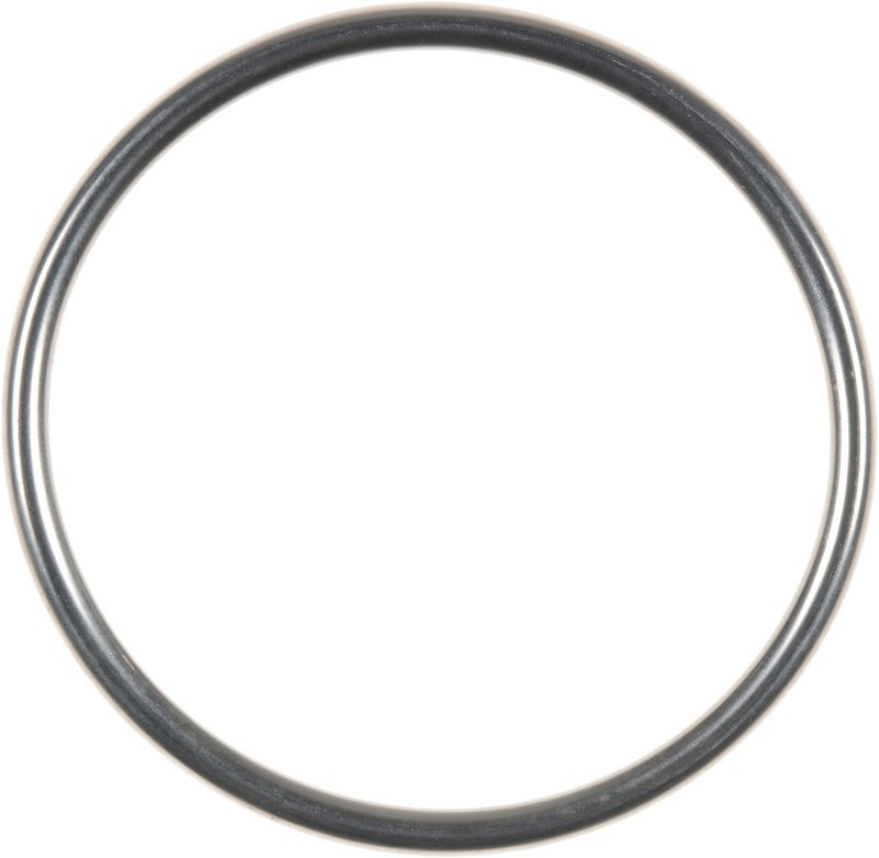 Victor Reinz 71-13681-00 Exhaust Pipe Flange Gasket - Left or Right