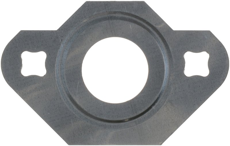 Victor Reinz 71-13738-00 EGR Valve Gasket