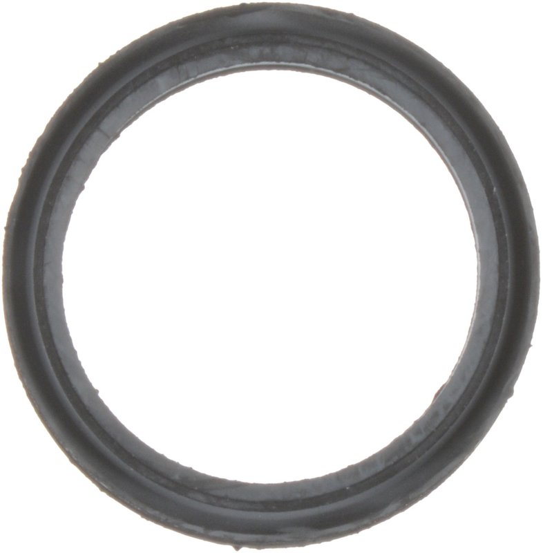 Victor Reinz 71-13809-00 EGR Valve Gasket