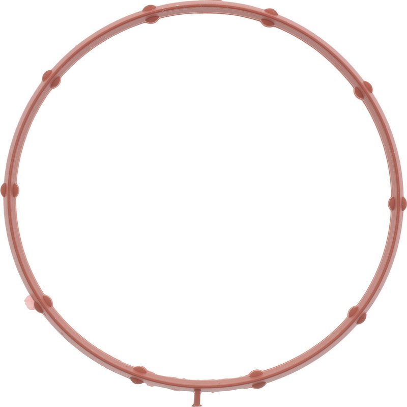 Victor Reinz 71-13886-00 Fuel Injection Throttle Body Mounting Gasket - Lower