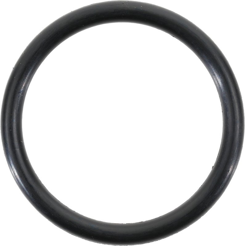Victor Reinz 71-14092-00 Engine Coolant Outlet O-Ring