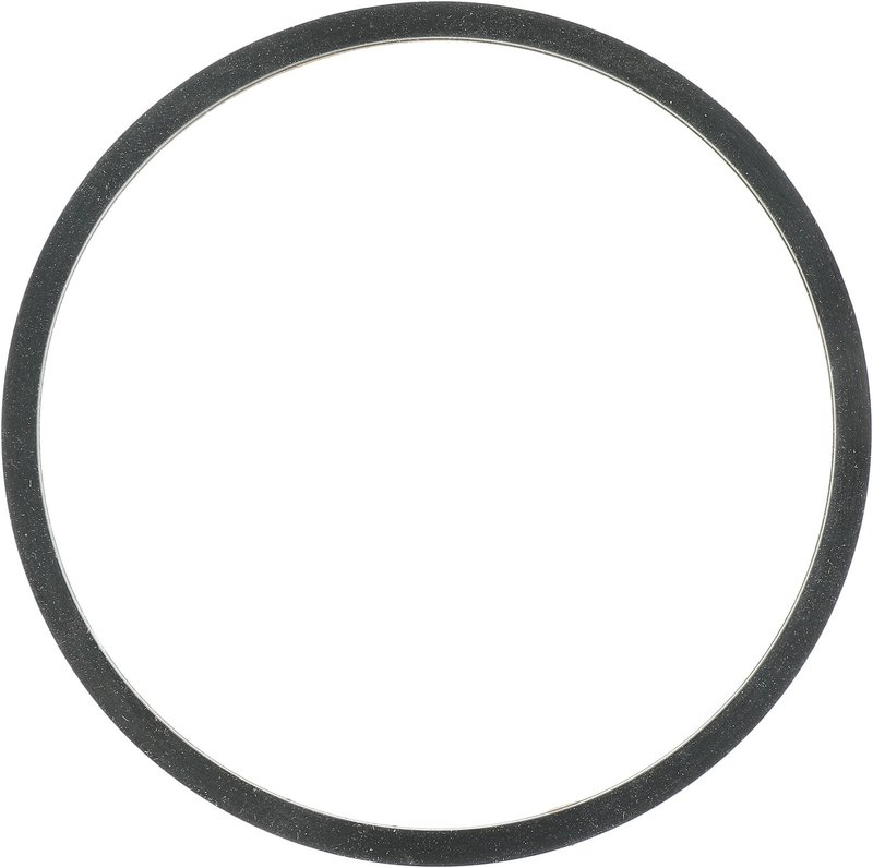 Victor Reinz 71-14421-00 Air Cleaner Mounting Gasket