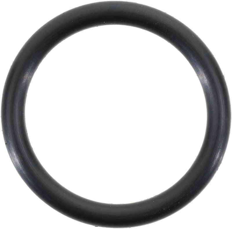 Victor Reinz 71-14619-00 Fuel Pump Mounting Gasket