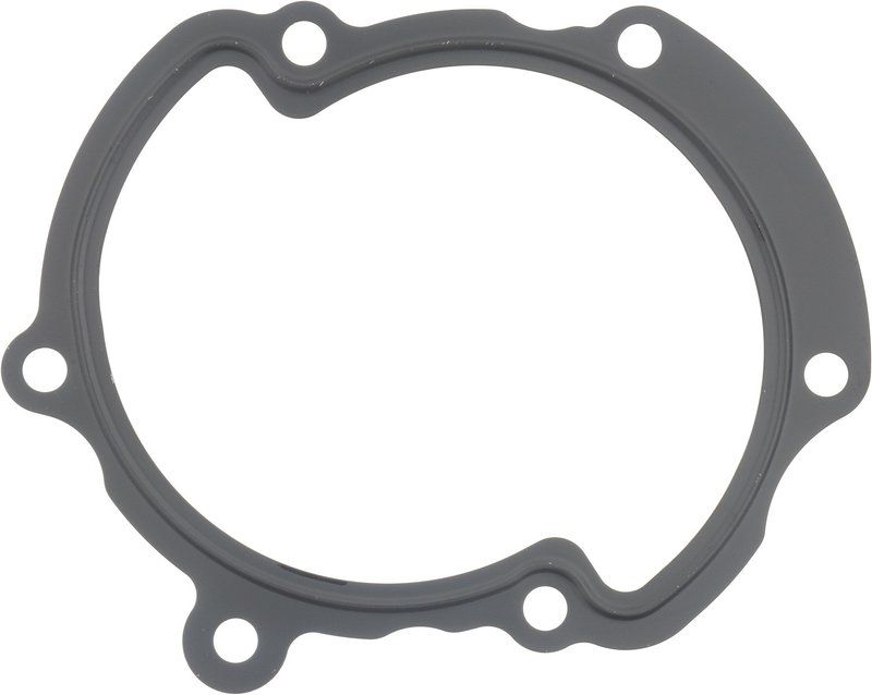 Victor Reinz 71-14698-00 Engine Water Pump Gasket