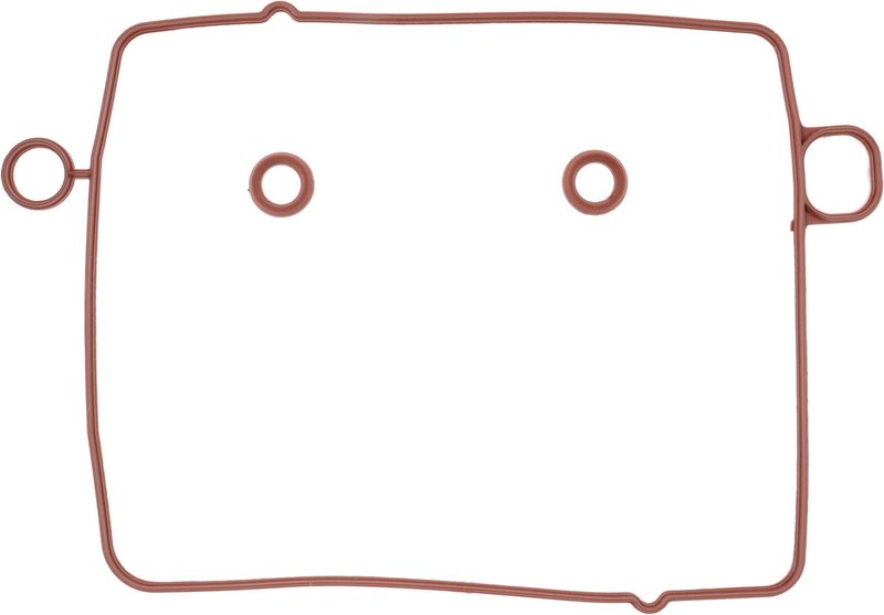 Victor Reinz 71-14715-00 Fuel Injection Plenum Gasket