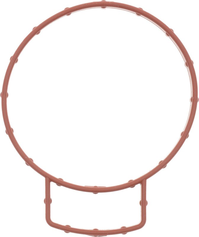 Victor Reinz 71-15228-00 Fuel Injection Throttle Body Mounting Gasket