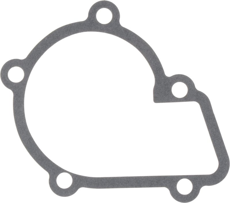 Victor Reinz 71-15382-00 Engine Water Pump Gasket