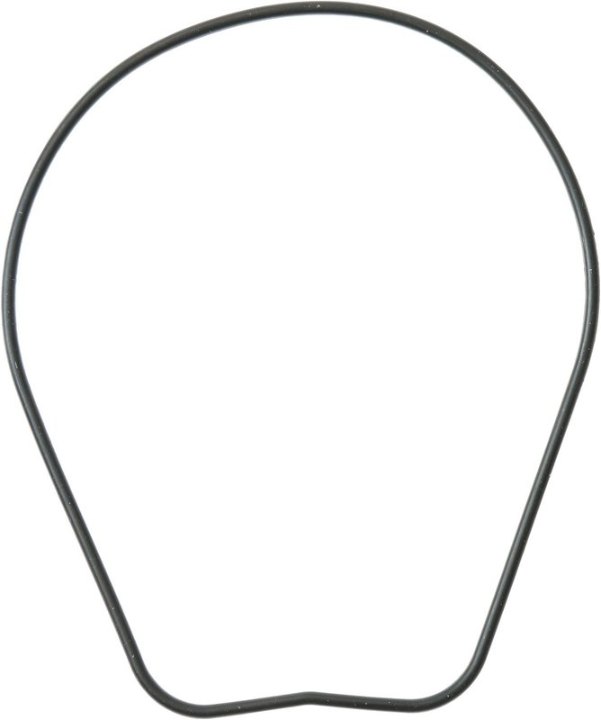 Victor Reinz 71-15396-00 Engine Oil Pump Gasket