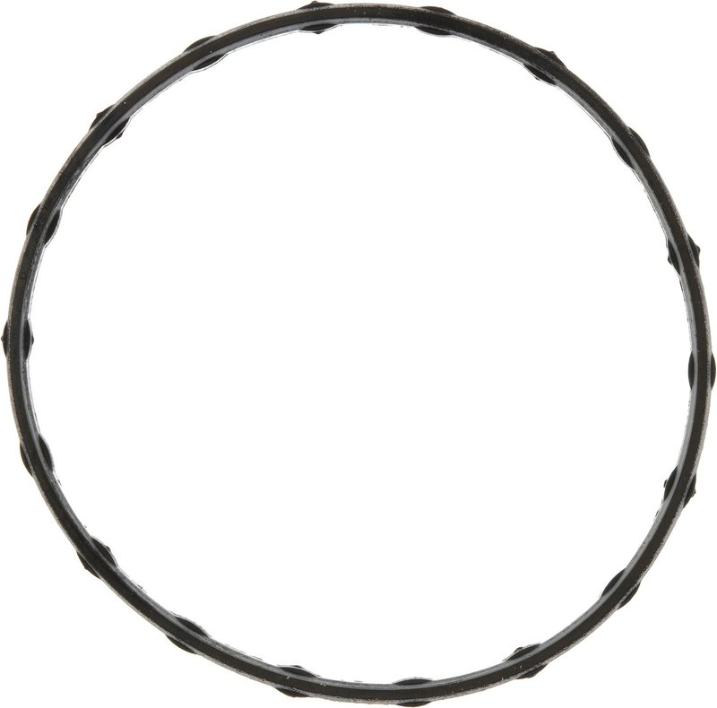 Victor Reinz 71-15564-00 Engine Coolant Thermostat Housing Seal
