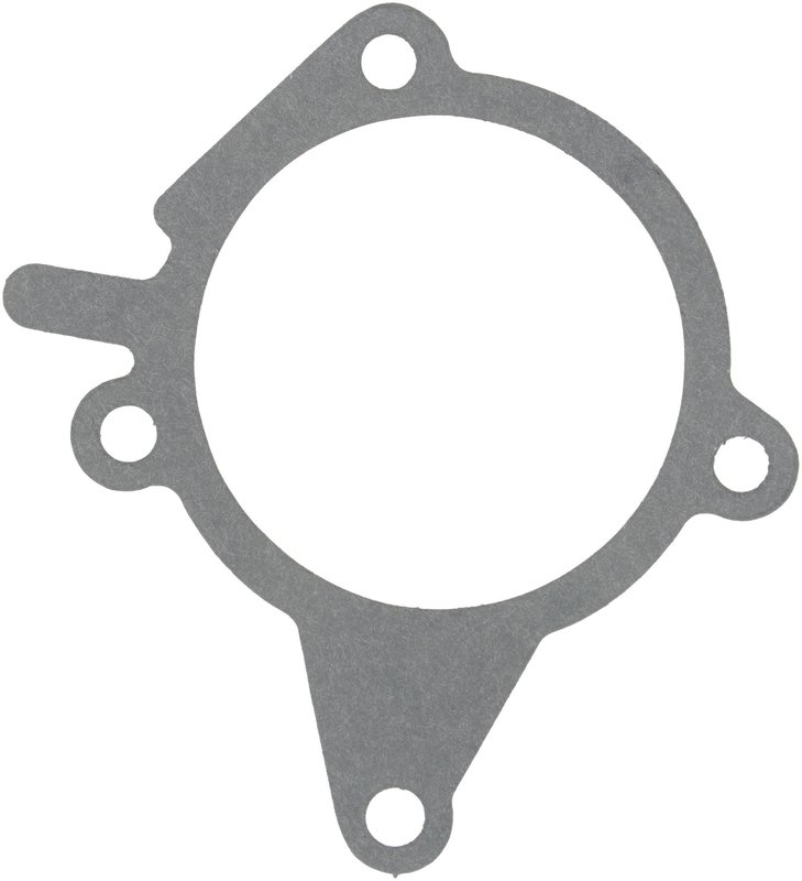 Victor Reinz 71-15591-00 Engine Water Pump Mounting Gasket