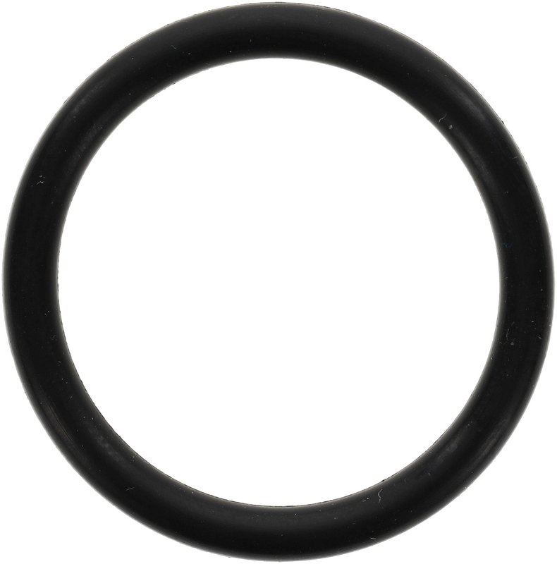 Victor Reinz 71-19070-00 Engine Coolant Outlet Gasket