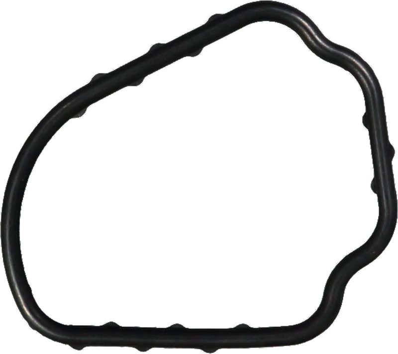 Victor Reinz 71-29470-00 Engine Coolant Thermostat Gasket